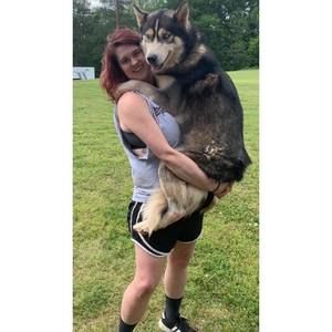 Meet your Posher, Carly